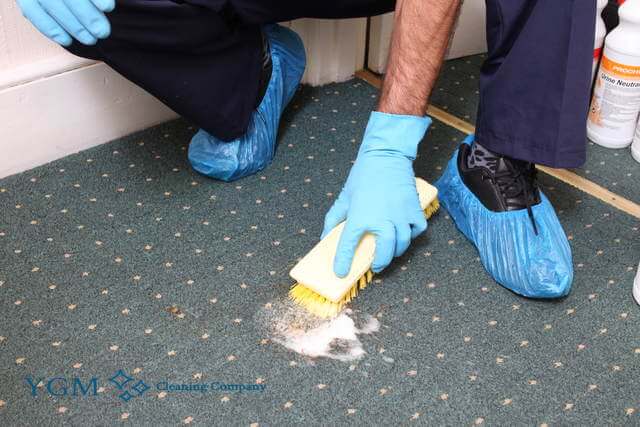 Heswall professional carpet cleaners