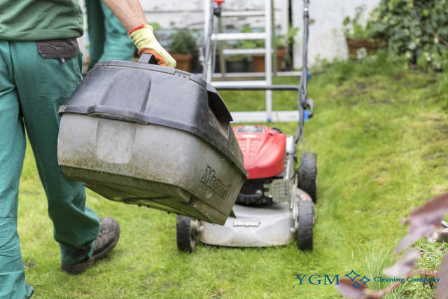 professional gardening Caerwys