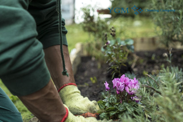 Expert gardeners in manchester