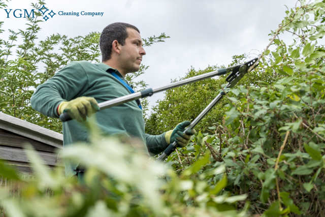 expert gardeners Oakenholt
